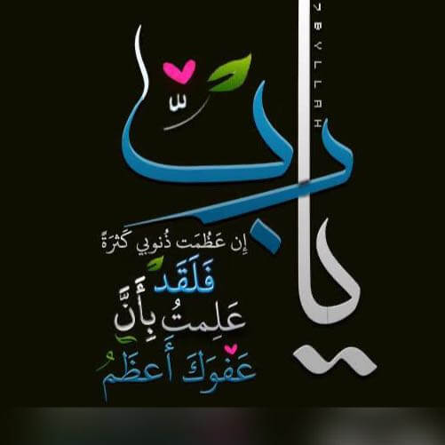 حنين عبدالقادر