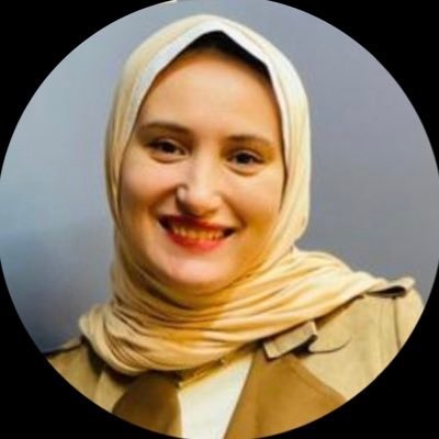 Alaa El-Husseini